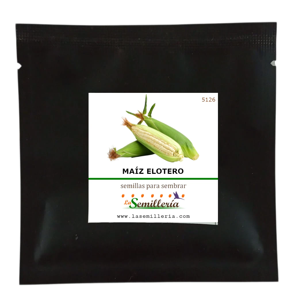 Foto de Sobre de Semillas de Maíz Elotero