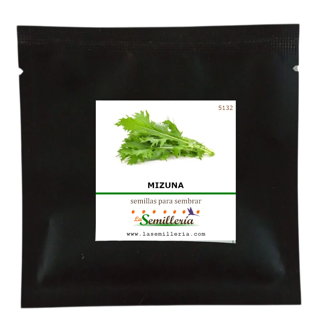 Foto de Sobre de Semillas de Mizuna