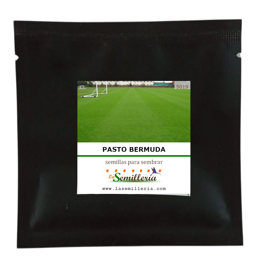 Foto de Sobre de Semillas de Pasto Bermuda