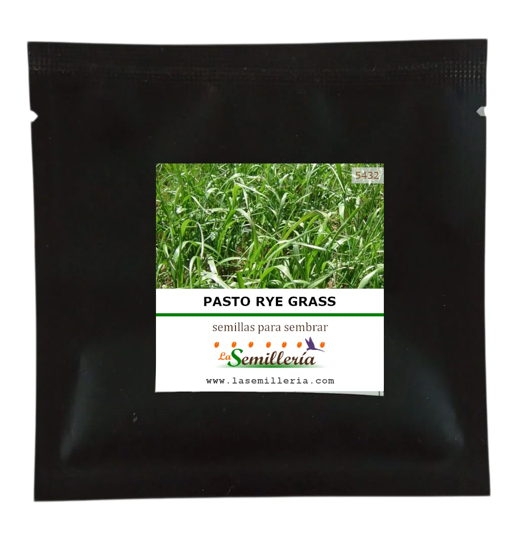 Foto de Sobre de Semillas de Pasto Rye Grass