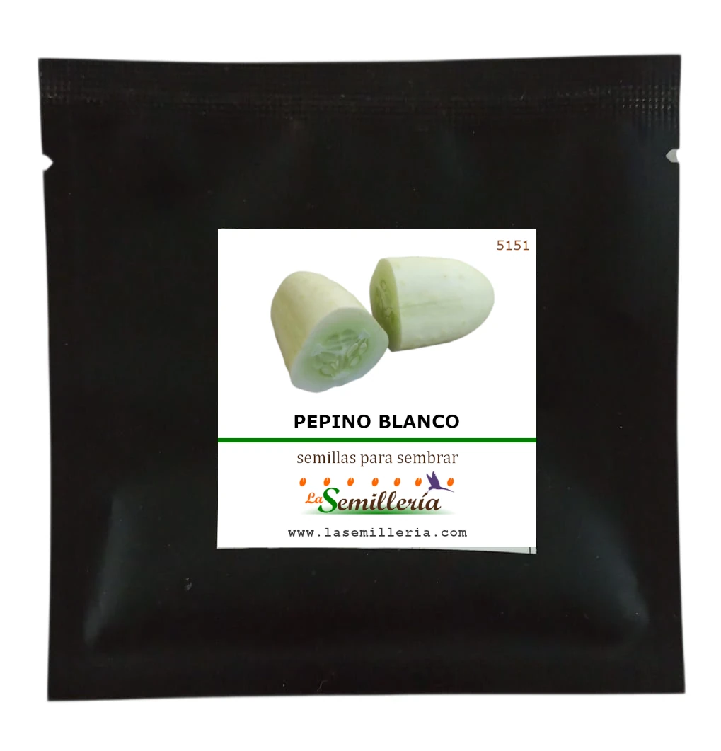 Foto de Sobre de Semillas de Pepino Blanco