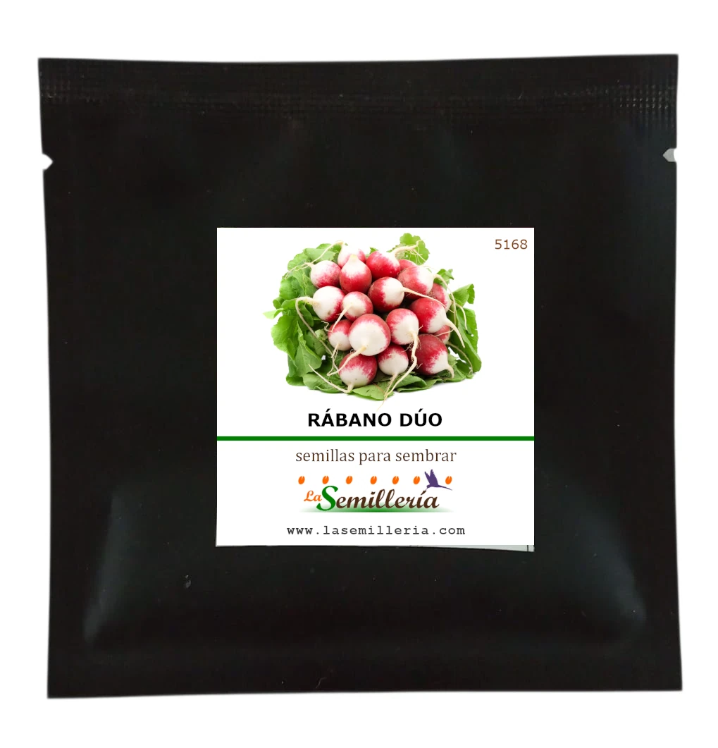 Foto de Sobre de Semillas de Rábano Duo