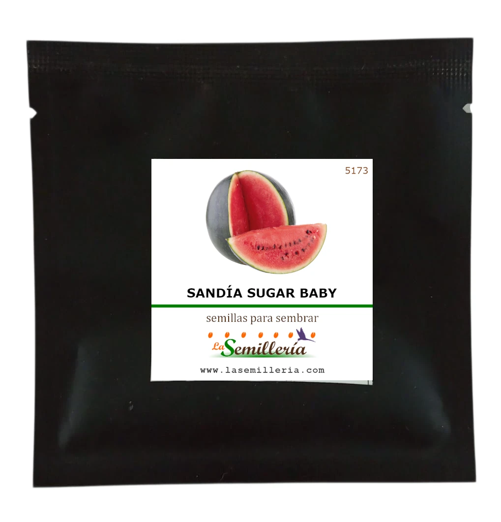 Foto de Sobre de Semillas de Sandia Sugar Baby