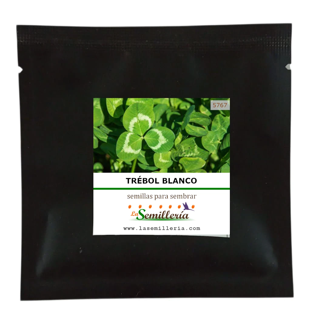 Foto de Sobre de Semillas de Trébol Blanco