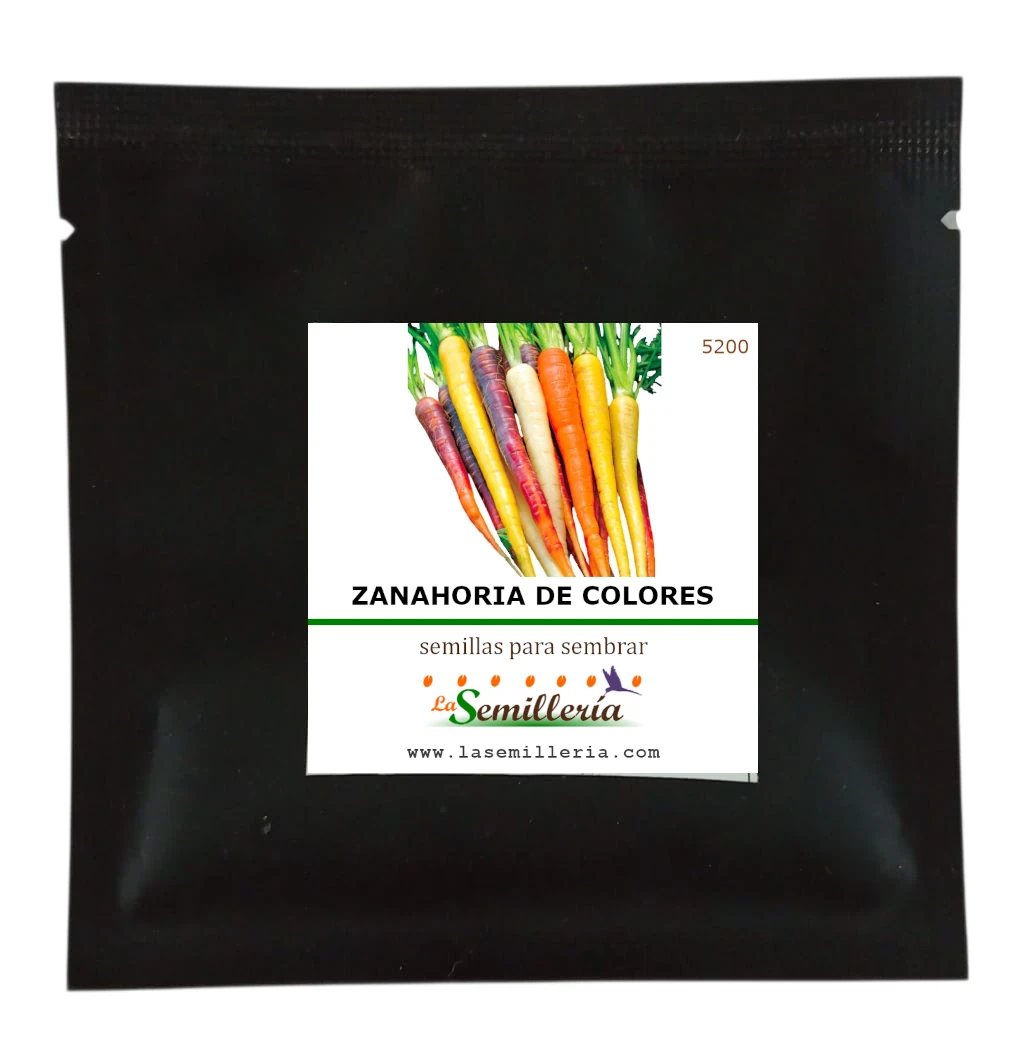 Foto de Sobre de Semillas de Zanahoria Arcoíris