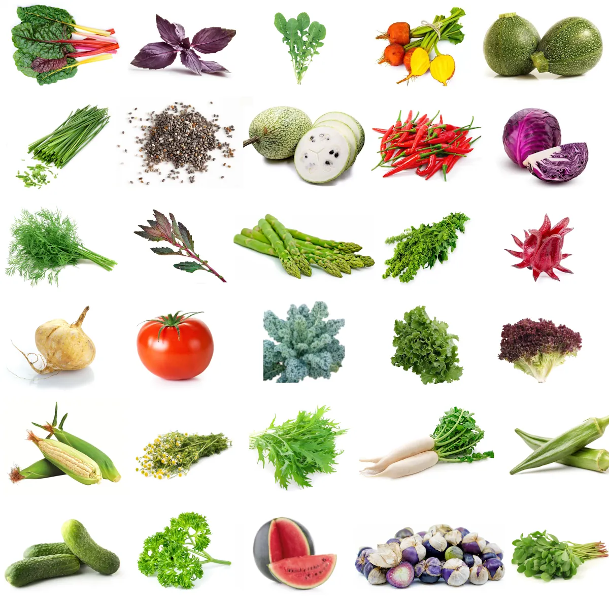 Foto de Semillas Para Huertos 30 variedades B