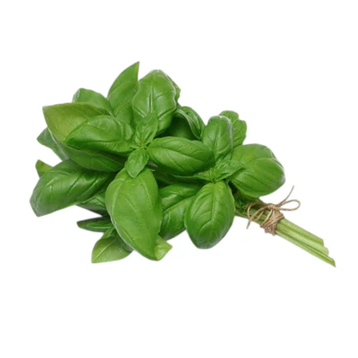 Foto de Semillas de Albahaca Grande ST