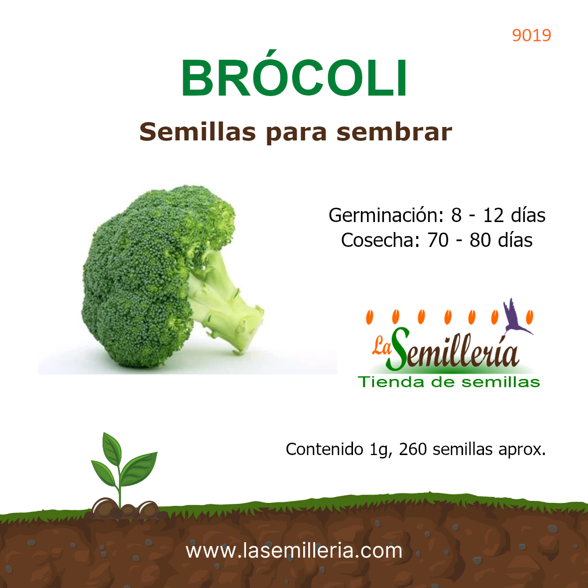 Foto de Sobre de Semillas de Brócoli