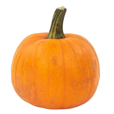 Foto de Semillas de Calabaza Small Sugar Pie