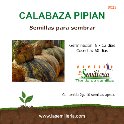 Foto de Sobre de Semillas de Calabaza Pipian