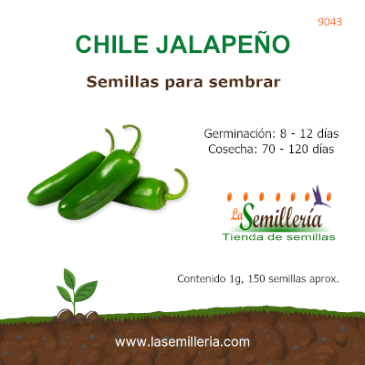 Foto de Sobre de Semillas de Chile Jalapeño