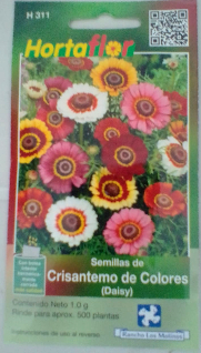 Foto de Semillas de Crisantemos de Colores HORTAFLOR