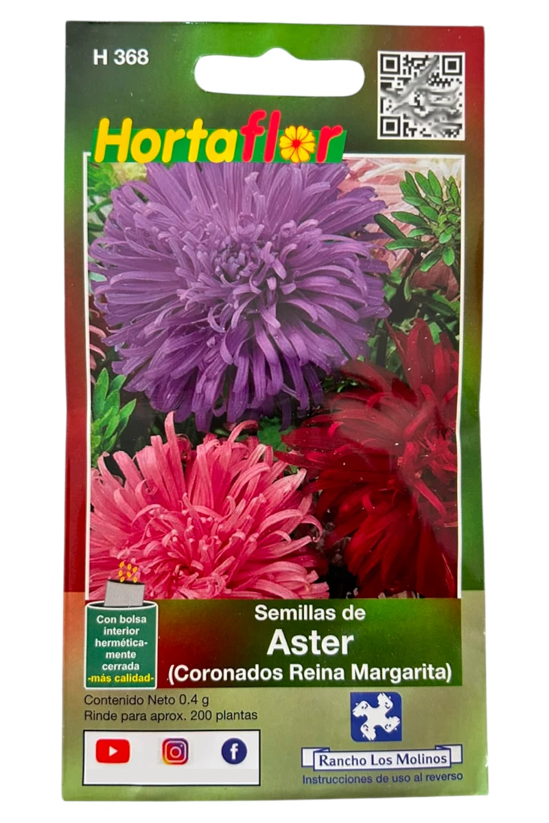 Foto de Aster Coronados HORTAFLOR