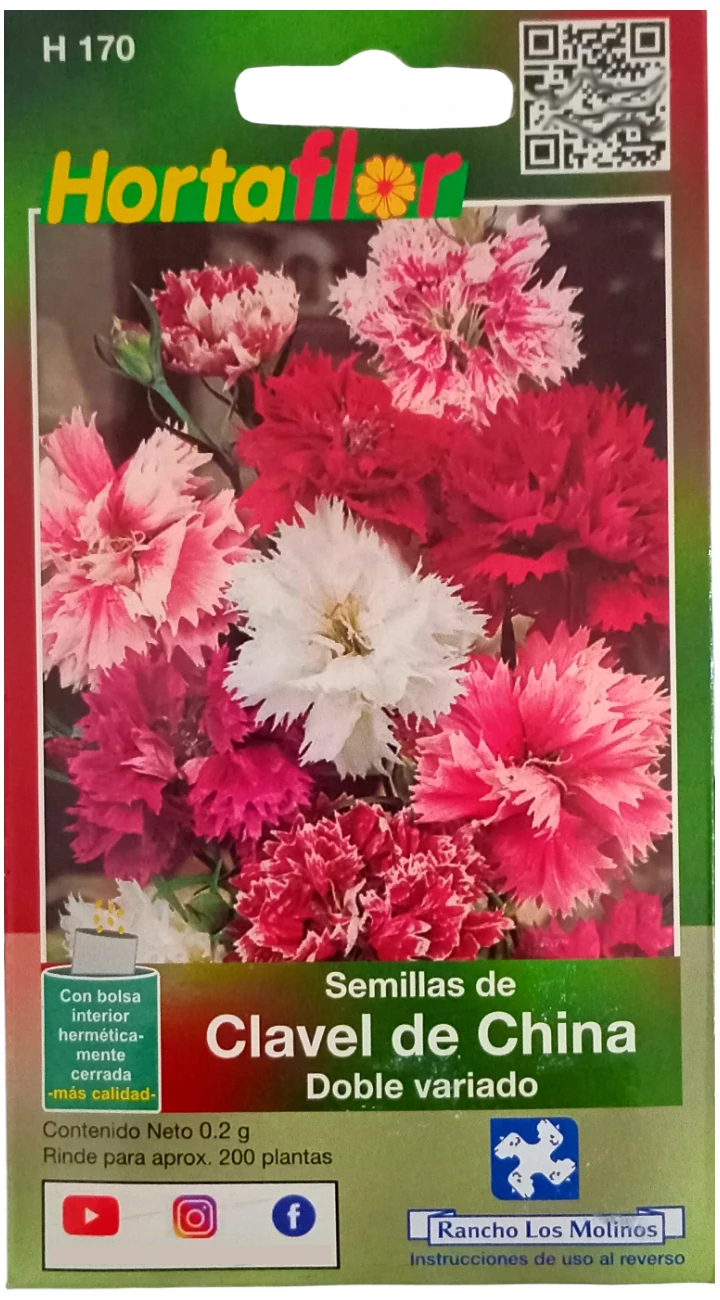 Foto de Semillas de Clavel de China HORTAFLOR