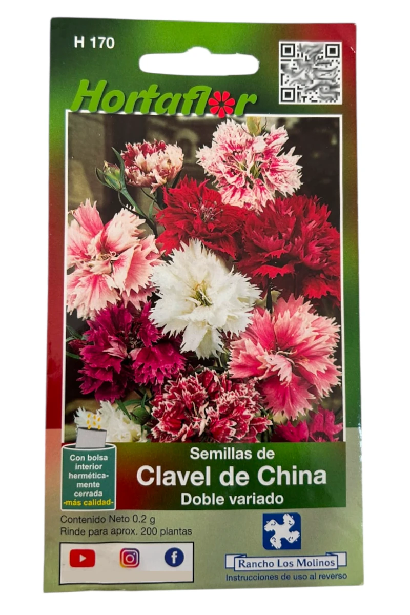Foto de Clavel de China HORTAFLOR