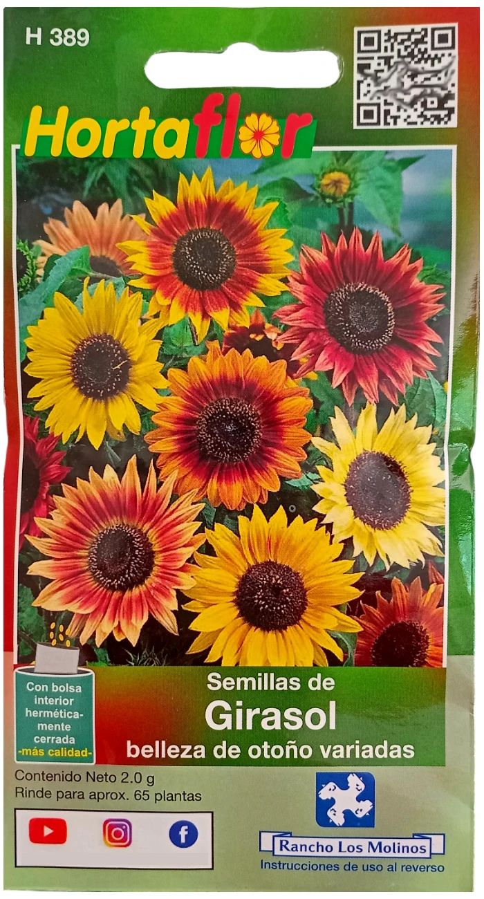 Foto de Semillas de Girasol Belleza de Otoño HORTAFLOR