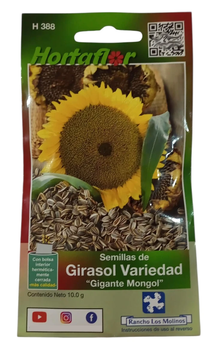 Foto de Semillas de Girasol Gigante Mongol HORTAFLOR