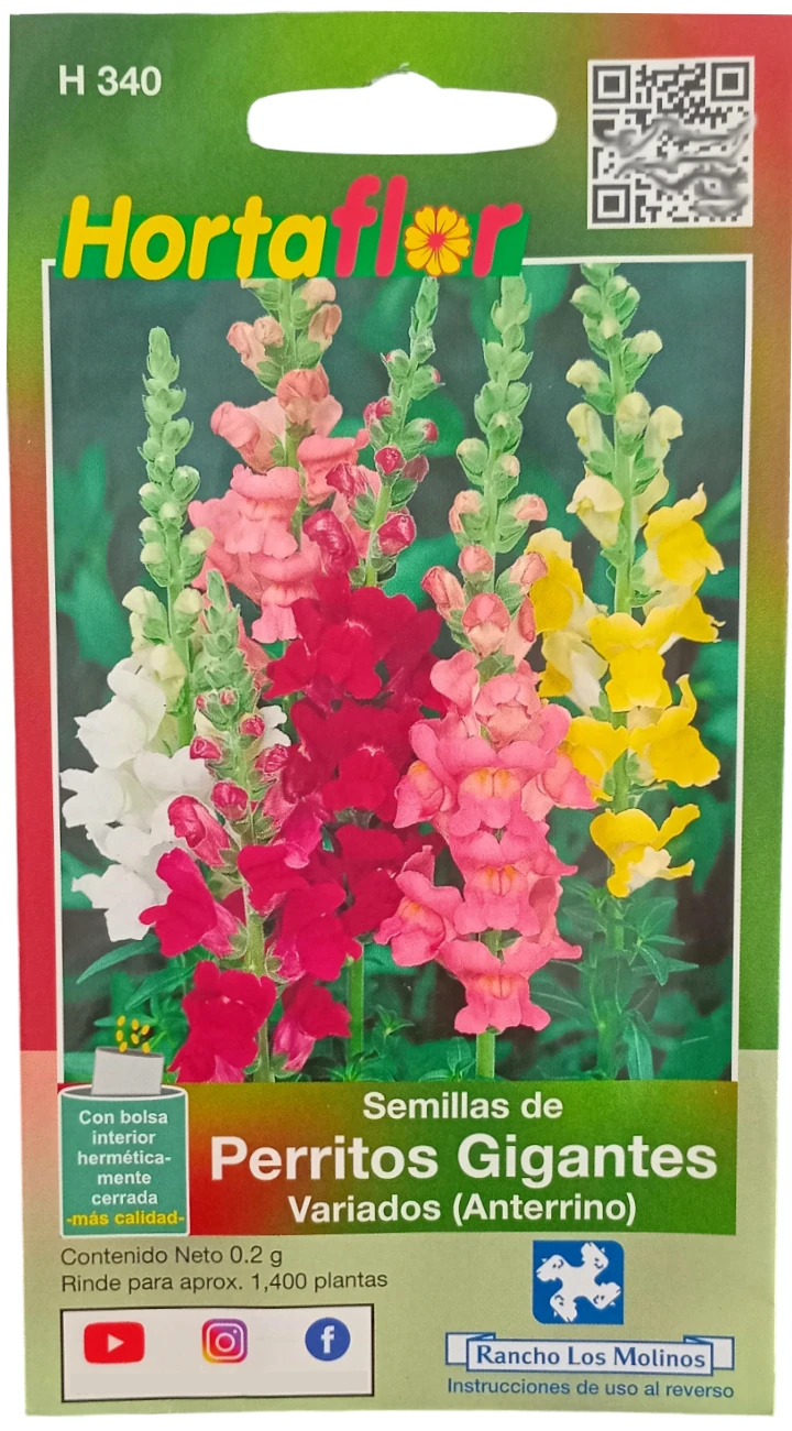 Foto de Semillas de Perritos Gigantes HORTAFLOR