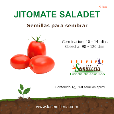 Foto de Sobre de Semillas de Jitomate Saladet