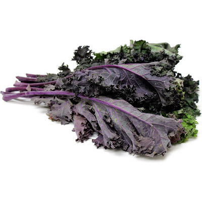 Foto de Semillas de Kale Rojo 