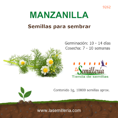 Foto de Sobre de Semillas de Manzanilla