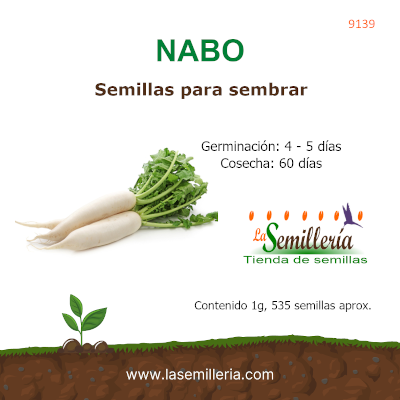 Foto de Sobre de Semillas de Nabo