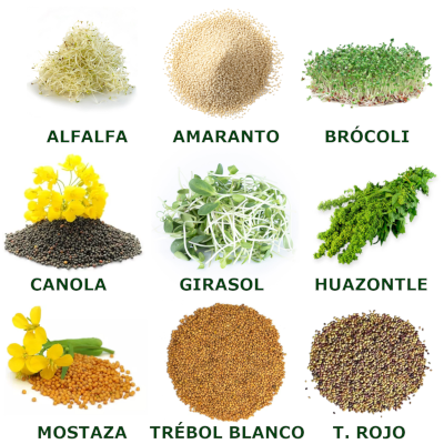 Foto de Paquete para Germinados