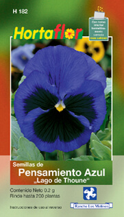 Foto de Pensamiento Azul HORTAFLOR