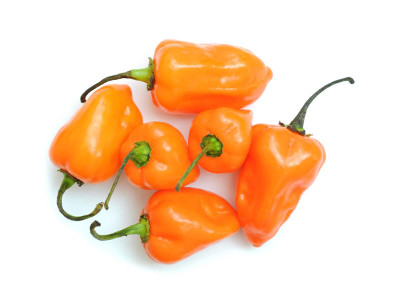 Foto de Semillas de Chile Habanero Naranja