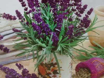 Semillas de Lavanda | Bolsa de 100 gramos