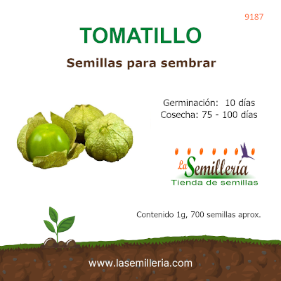 Foto de Sobre de Semillas de Tomatillo